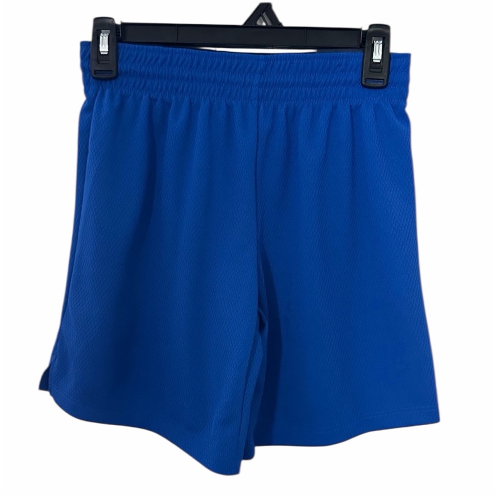 DSG Boys Royal Blue Mesh Basketball Shorts
Size M (10-12) - NWT